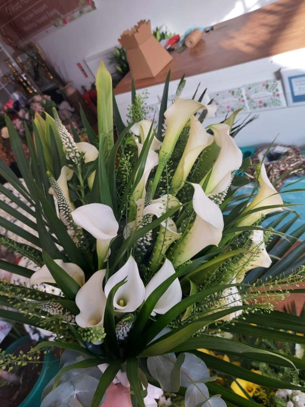 Tied Sheaf calla lily